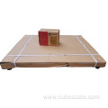 3000KG Plaform Weighing Scale With Ramp